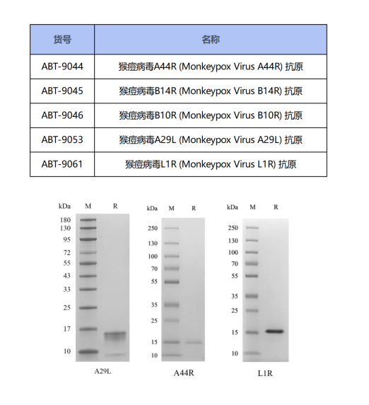 微信图片_20220913132552.png