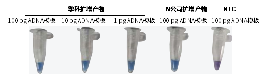 擎科推出高品质Bst DNA聚合酶，助力高品质体外诊断试剂研发生产